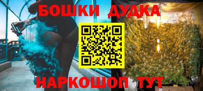 сатива Новокубанск