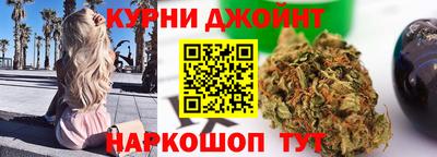 сатива Новокубанск