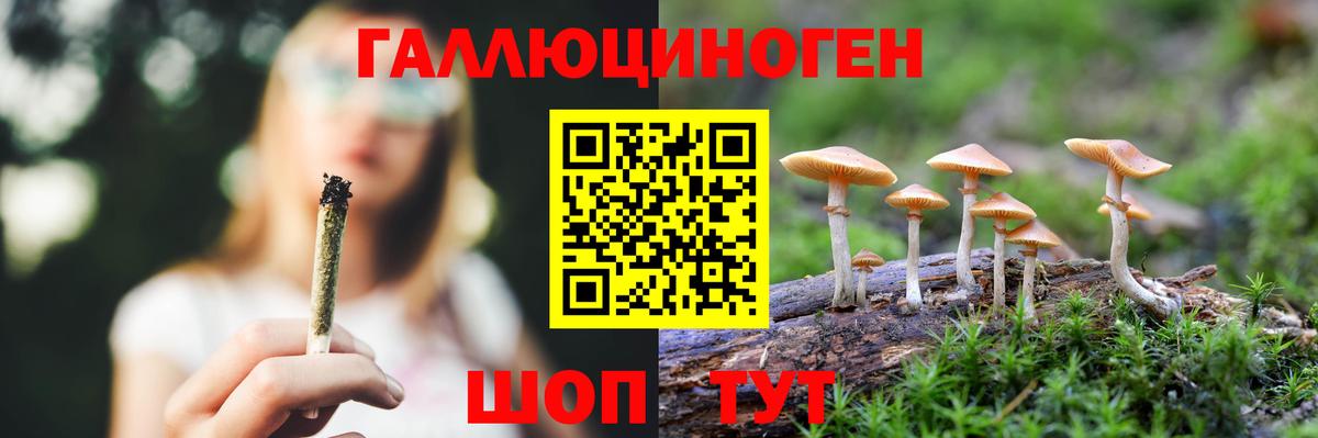Галлюциногенные грибы Psilocybine cubensis  Вход с VPN  Стрежевой 